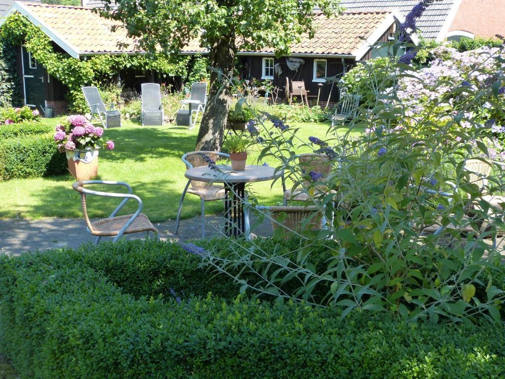 B&B En Appartementen Triente Buinen Luaran gambar